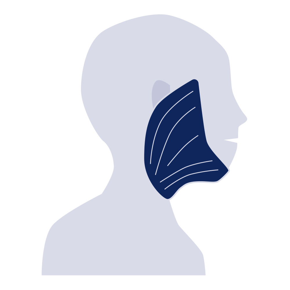 JOBST JoViPad Neck for Lymphoedema | JOBST